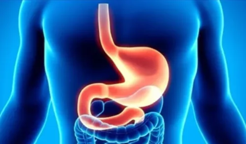 gastroscopy examination