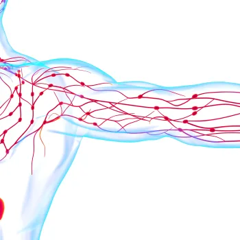 נוירולוגיה _ neurology, EMG